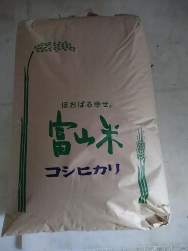 令和５年産コシヒカリ玄米30kg