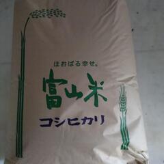 令和５年産コシヒカリ玄米30kg