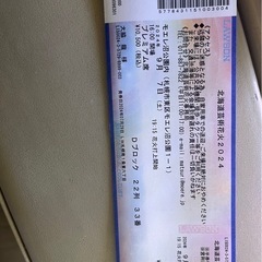 モエレ沼　花火大会