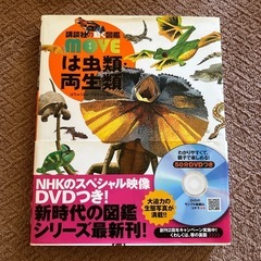 グラビアDVD】 河合すみれ すみれの花が咲く頃に とっておきの未公開秘蔵映像 - DVD/ブルーレイ