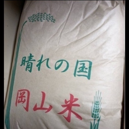 新米 コシヒカリ 玄米30kg 令和6年