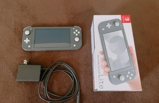 Switchライトグレー