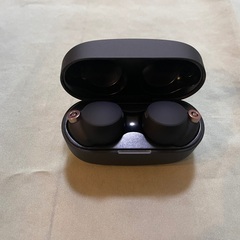 ソニー ワイヤレスノイズキャンセリングイヤホン WF-1000XM4