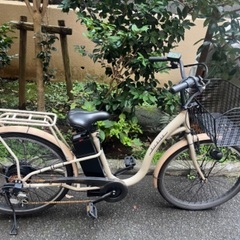 SIMONCINI 「シモンチーニ」 SPECIAL 2000年頃 クロスバイク 5022092200101