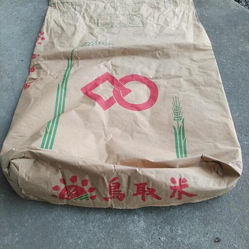 きぬむすめ　玄米30キロ