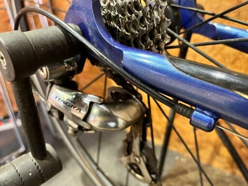 Wilier ウィリエール EVASION ロードバイク WILIER 「ウィリエール 