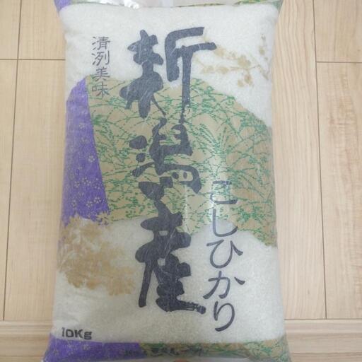 お米  10キロ（精米済み）