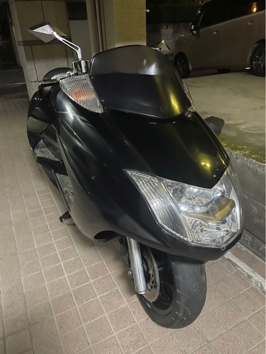 マグザム250