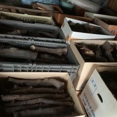 配達込み！りんごの薪