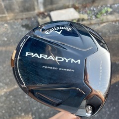 パラダイムドライバー