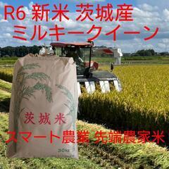 レア品種 シキユタカ】兵庫県産新米＊湧き水育ち農家のお米 30kg