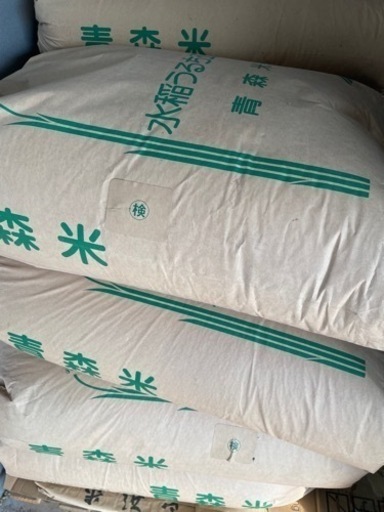 完売しました❗️ありがとうございます
