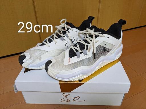 29cm ジョーダン ワン テイク 4 PF NIKE バッシュ