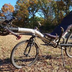 リカンベント自転車 Optima Lynx リアサス・下ハンドルモデル リカンベント自転車 Optima Lynx リアサス 20/26インチ