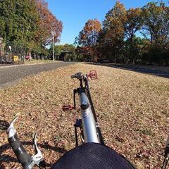 リカンベント自転車 Optima Lynx リアサス 20/26インチ