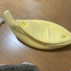 猫のベッド？