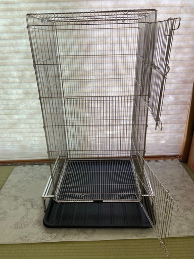 のびも10秒ゲージ