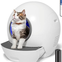 honest college クッション 佐野玲於