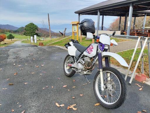 ホンダ　XR250 MD30