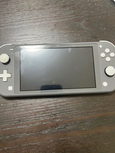 ニンテンドーDS,3DS Nintendo Switch lite