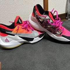 NIKEバッシュ