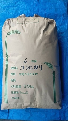 ④令和6年度　千葉県産新米　コシヒカリ　玄米　30kg 1袋