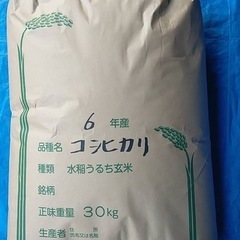 ④令和6年度 千葉県産新米 コシヒカリ 玄米 30kg 1袋