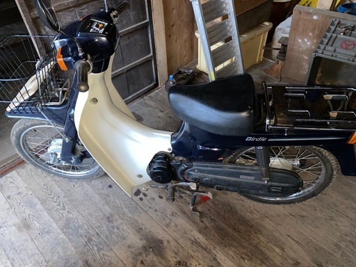 SUZUKI  バーディ50