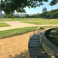 キャッチボール&壁当て仲間募集⚾️