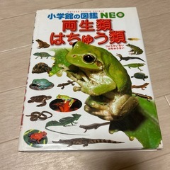 【お話中】小学館の図鑑NEO 両生類　はちゅう類