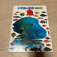 【お話中】小学館の図鑑NEO 魚