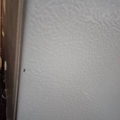 ①番 EDF85F 2021年製 フリーザー 冷凍庫