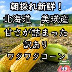 朝どれ新鮮　北海道美瑛産　とうきび12本