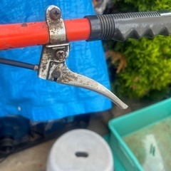 交自走式 芝刈機 EY15 