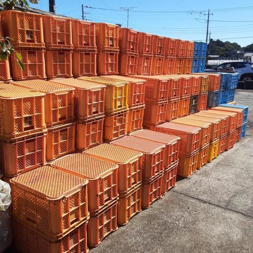 10月に入るとすぐなくなるのでお早めに。農業　資材　収穫　コンテナ　重量コンテナ　20個限定