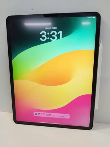 【Wi-Fiモデル】iPad Pro 第4世代/12.9インチ/256GB/A2229/Apple Pencil 2 セット！