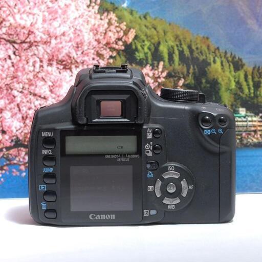 初心者入門モデル Canon EOS KISS DIGITAL N レンズセット