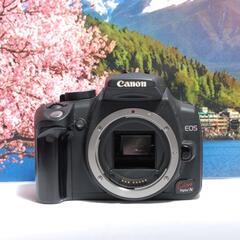 初心者入門モデル Canon EOS KISS DIGITAL N レンズセット