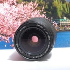 初心者入門モデル Canon EOS KISS DIGITAL N レンズセット