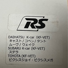 RACE CHIP(レースチップ)RS
