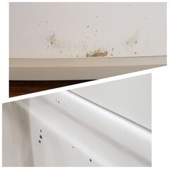 TOSHIBA 2020年製 5.0㎏全自動洗濯機 AW-5G8(W)