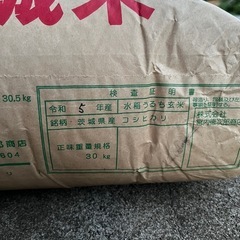 商談中、コシヒカリ 