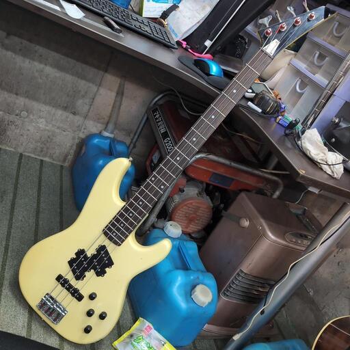 SX DG-LTD2 CUSTOM GUITARS 社外ソフトケース付属・音出し確認済