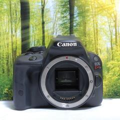 ★初心者におすすめ★ Canon Kiss X2 ダブルレンズキット