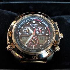 新品 32インチ TORY leather BIT western belt-CITIZEN エコドライブ 実働