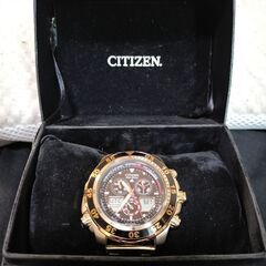 新品 32インチ TORY leather BIT western belt-CITIZEN エコドライブ 実働