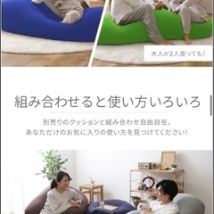 ビーズクッション 特大 ビーズソファ クッション 大きい ビーズ ソファー 2人掛け 1人掛け ソファ 国産 日本製 もちもち ビーンズMAX 