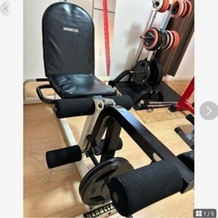 レッグエクステンション&レッグカール