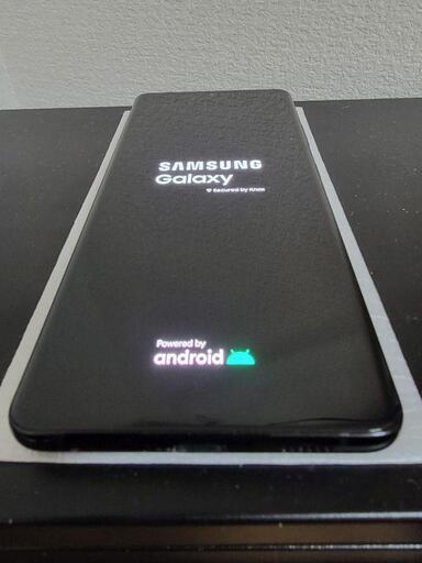 Galaxy S21 Ultra 物理デュアルSIM 訳あり
