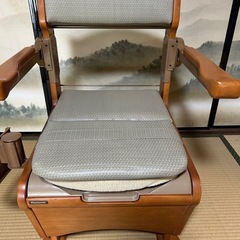 visvim PEERLESS STRABLER DOWN VEST 3